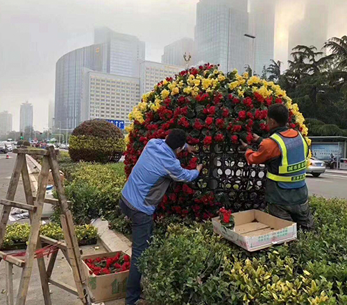 呼和浩特花箱