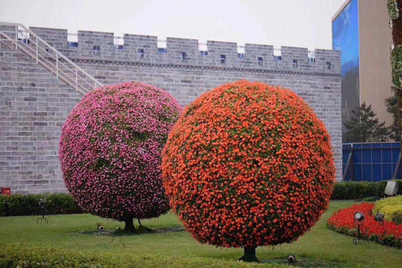 呼和浩特花箱